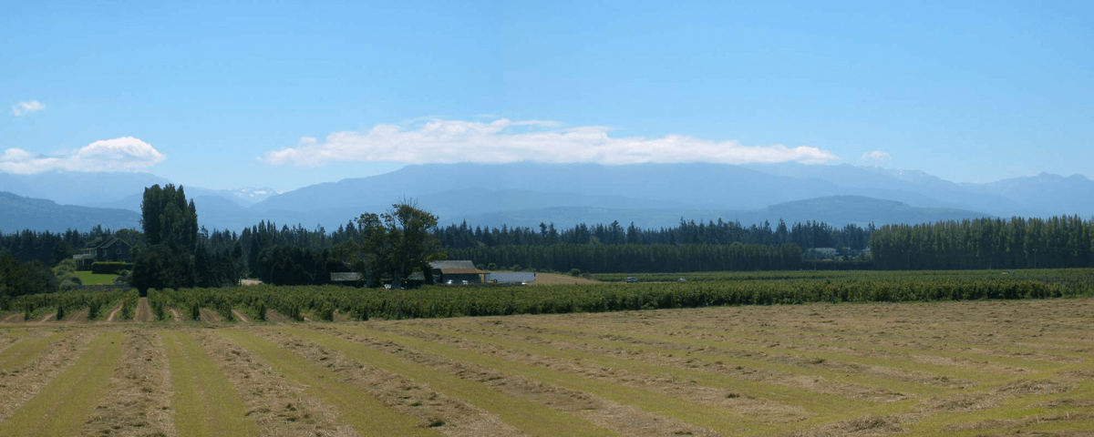 Graysmarsh Farm
