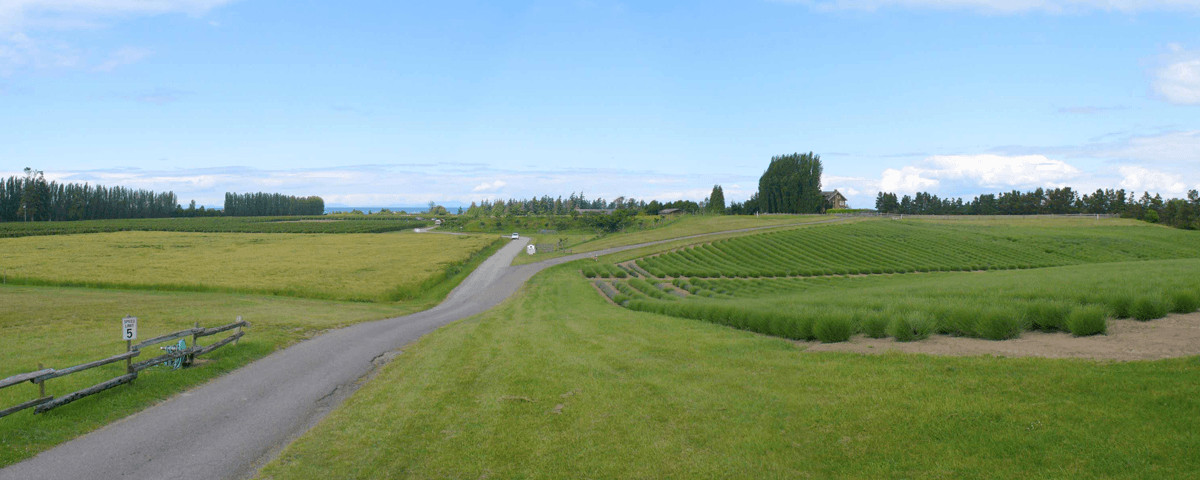 Graysmarsh Farm Entrance